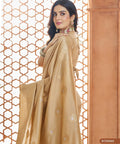 Beige Banarasi Silk Saree, USA, Perfect for Indian wedding partywear sequins saree - ReadyToWearshop