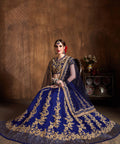 Graceful Navy Blue  fancy lehenga Choli for women with Dupatta in USA - ReadyToWearshop