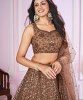Brown Party wear Heavy Lehenga Choli for Women with Dupatta Sequence Lehenga Choli In USA - ReadyToWearshop