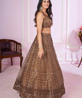 Brown Party wear Heavy Lehenga Choli for Women with Dupatta Sequence Lehenga Choli In USA - ReadyToWearshop