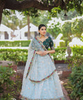 Glam and glow with ethnic beauty at the coming party by draping this colorful organza lehenga choli - ReadyToWearshop