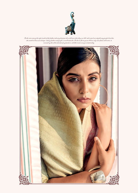 Kanjivaram Indian saree with blouse in USA, Perfect for Indian wedding partywear sequins saree - ReadyToWearshop