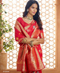 Red Banarasi Silk Saree, USA, Perfect for Indian wedding partywear sequins saree - ReadyToWearshop