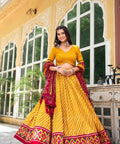 Silk Graceful Sequnce fancy lehenga Choli for women with Dupatta in USA - ReadyToWearshop